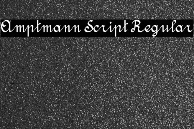 Amptmann Script Regular Font examples