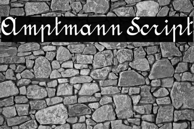 Amptmann Script Font examples