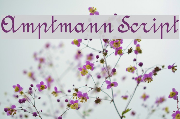 Amptmann Script لخطوط تنزيل examples