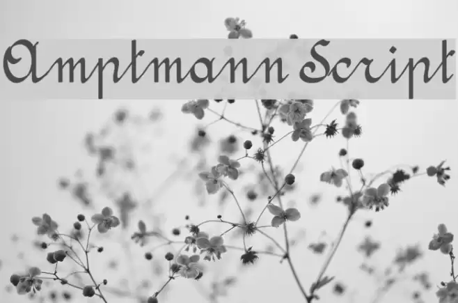 Amptmann Script Font examples