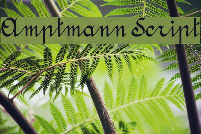 Amptmann Script لخطوط تنزيل examples