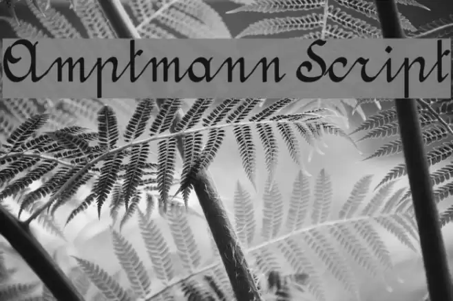 Amptmann Script Font examples