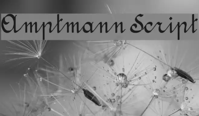 Amptmann Script Font examples