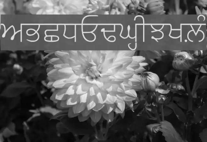 AmrLipiSlim Font examples