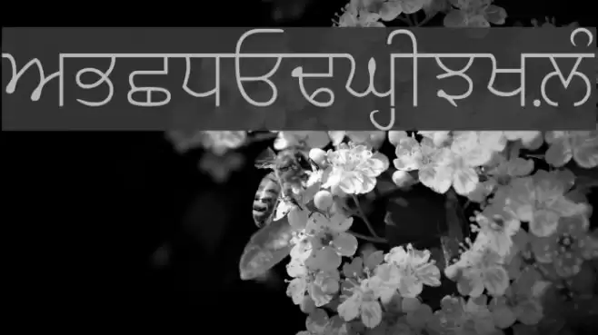 AmrLipiSlim Font examples