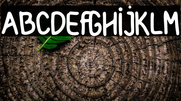 Amrica Seriket Example 1