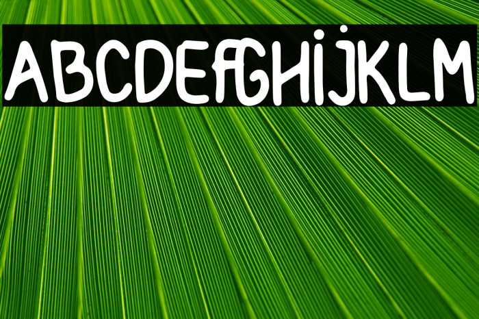 Amrica Seriket Example 3