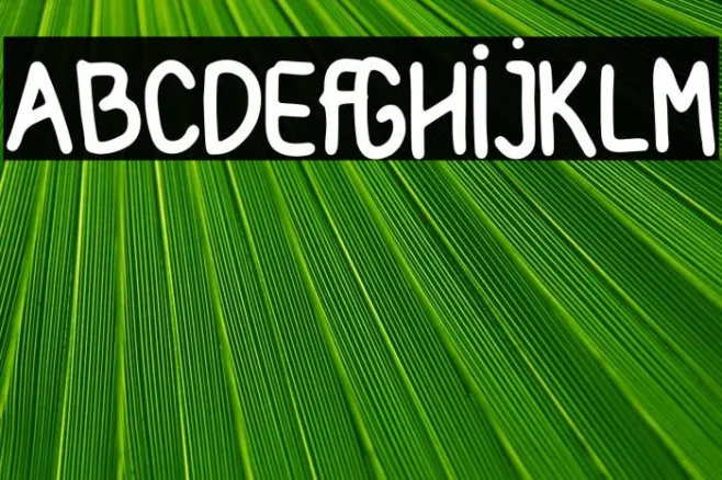 Amrica Seriket Example 3