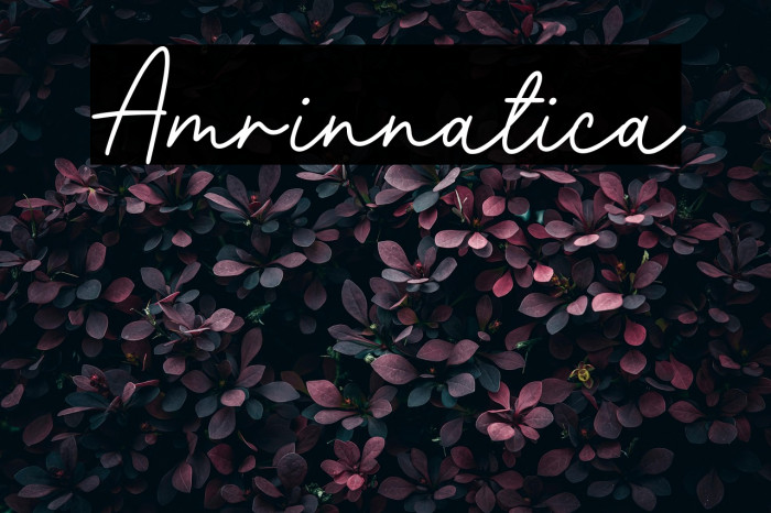 Amrinnatica Example 2