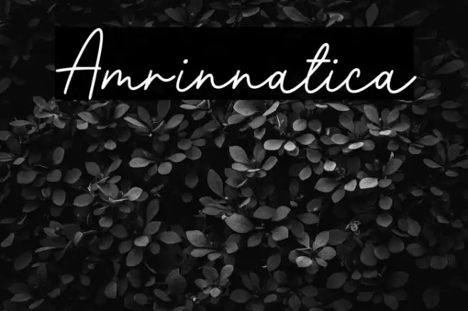 Amrinnatica Polices examples