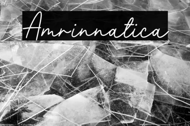 Amrinnatica Polices examples