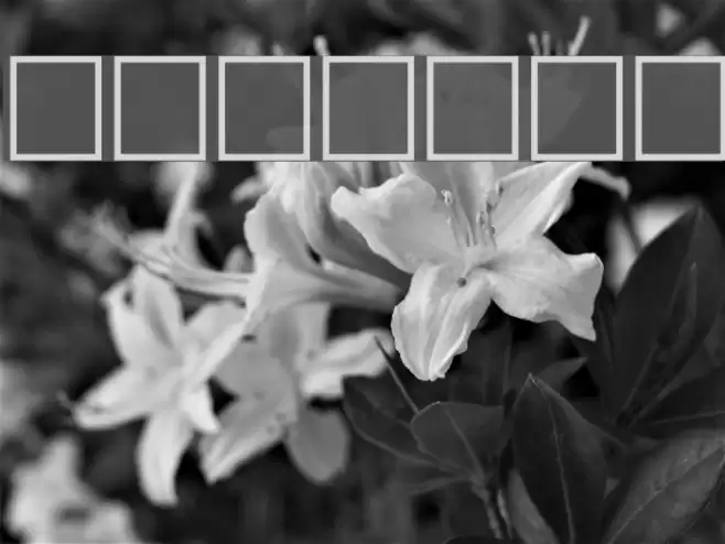 Amrit-Lipi-Slim Regular フォント examples