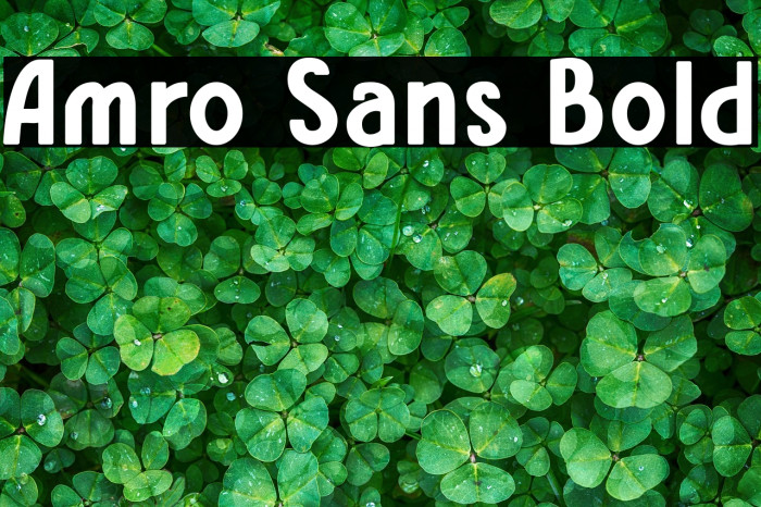 Amro Sans Bold Example 1