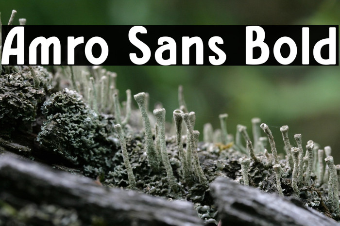 Amro Sans Bold Example 2