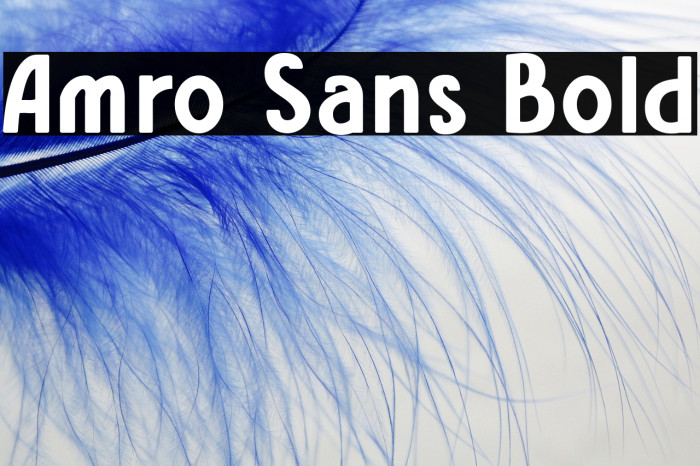 Amro Sans Bold Example 3