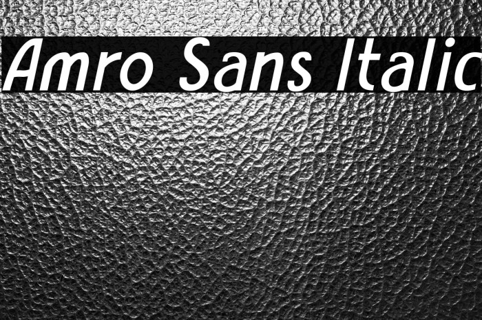 Amro Sans Italic Example 3