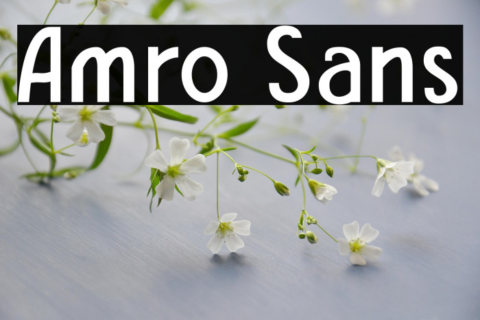 Amro Sans Example 2