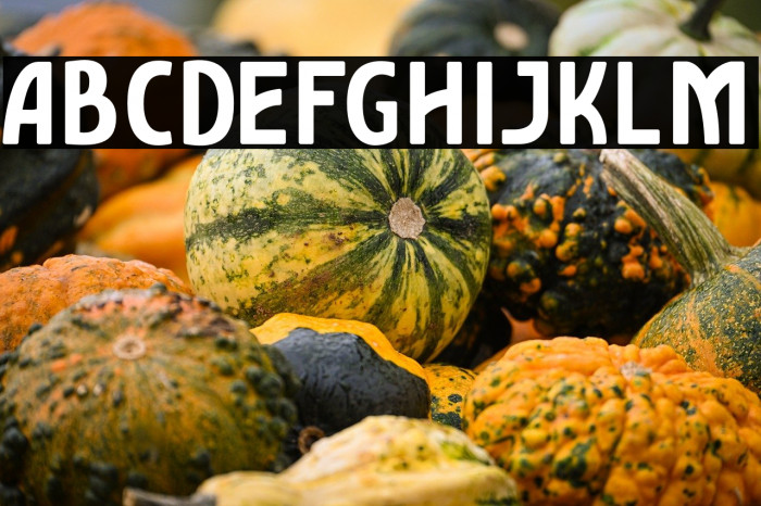 AmroSans-Bold Example 1