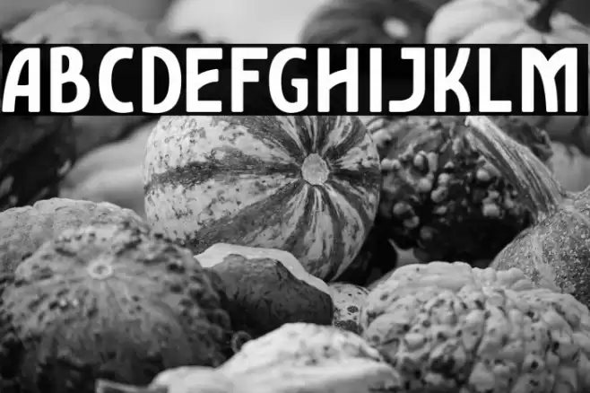 AmroSans-Bold Font examples