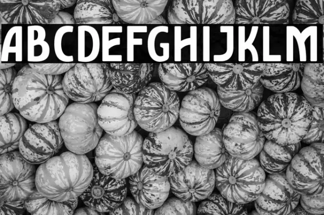 AmroSans-Bold Font examples