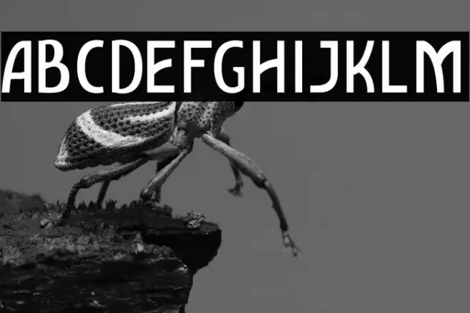 AmroSans Font examples