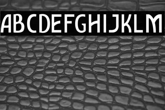 AmroSans Font examples