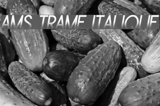 Ams Trame Italique Font examples