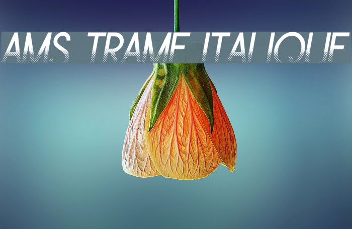Ams Trame Italique Example 3