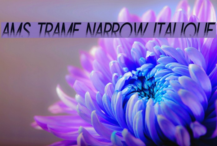 Ams Trame Narrow Italique Example 1