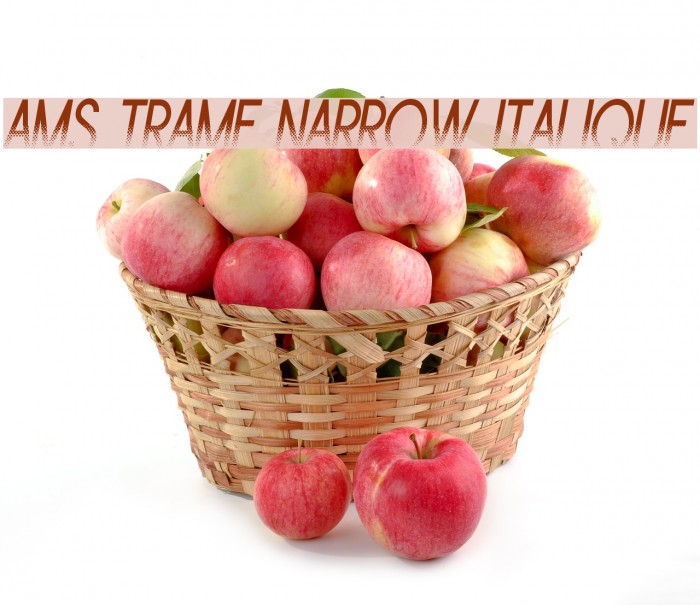 Ams Trame Narrow Italique Example 2