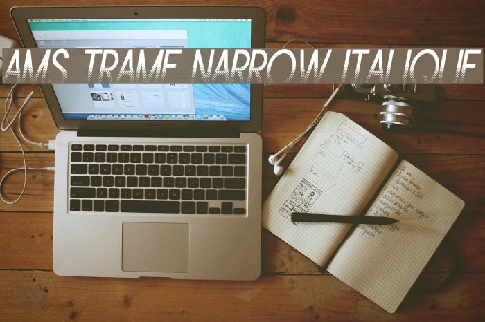 Ams Trame Narrow Italique Example 3
