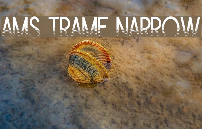 Ams Trame Narrow Example 1