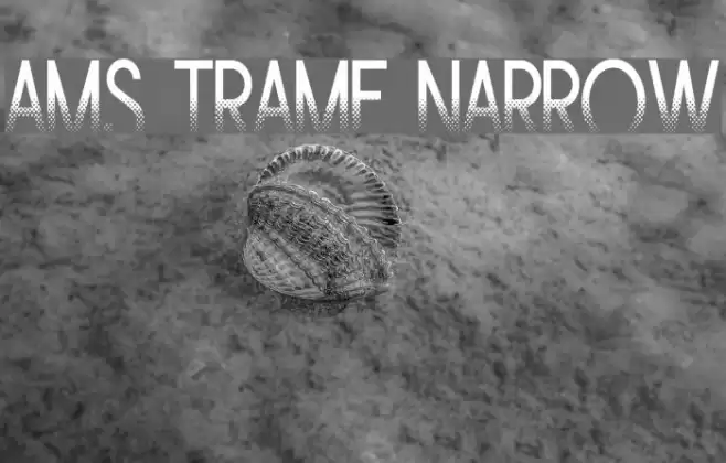 Ams Trame Narrow Font examples