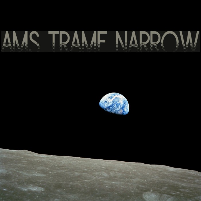 Ams Trame Narrow Example 2