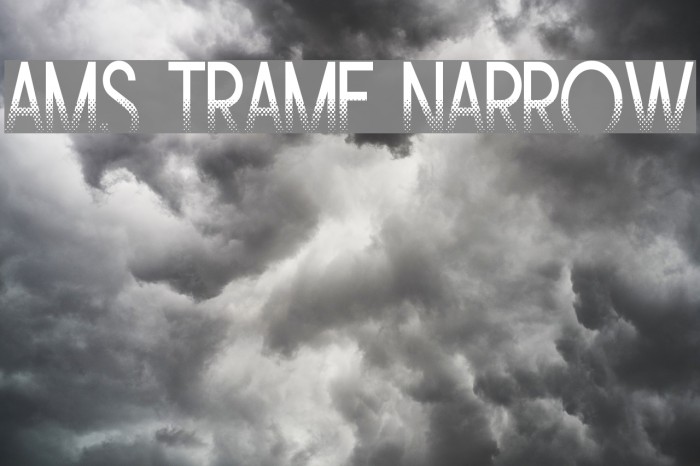 Ams Trame Narrow Example 3