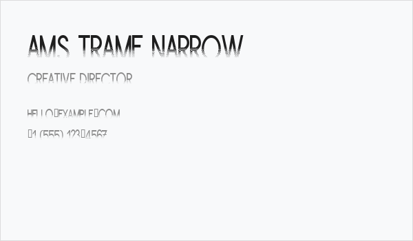 Ams Trame Narrow Business Card