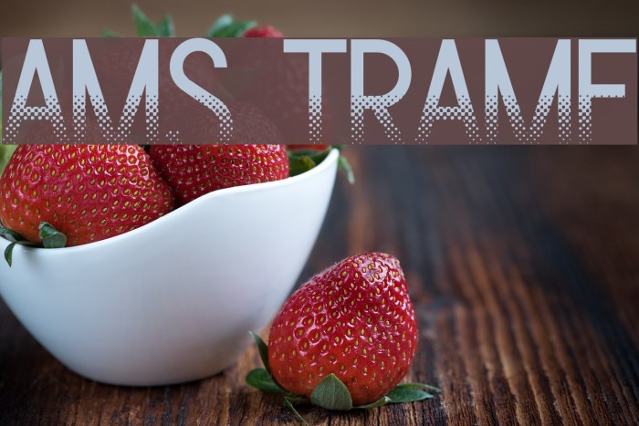 Ams Trame Font examples