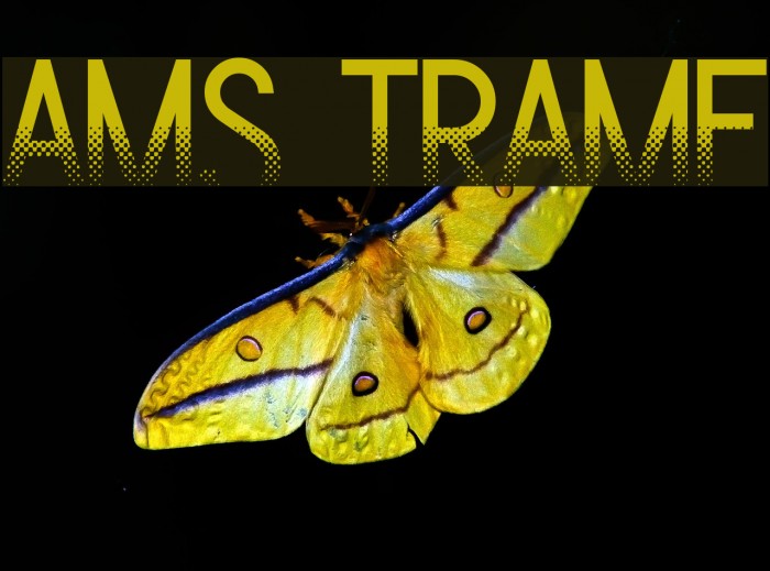 Ams Trame Font examples
