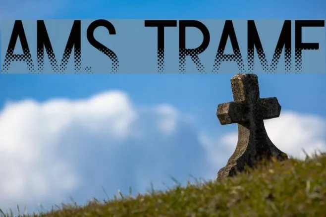 Ams Trame Example 3