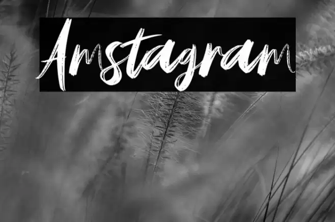 Amstagram Font examples