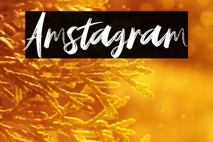 Amstagram Example 3