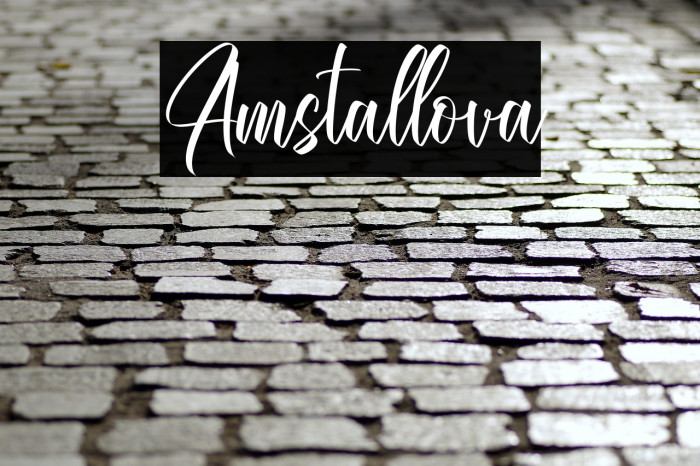 Amstallova Example 1