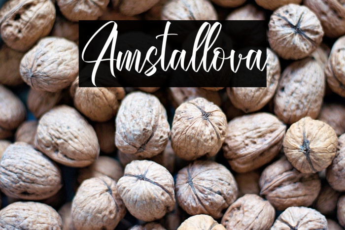 Amstallova Example 3