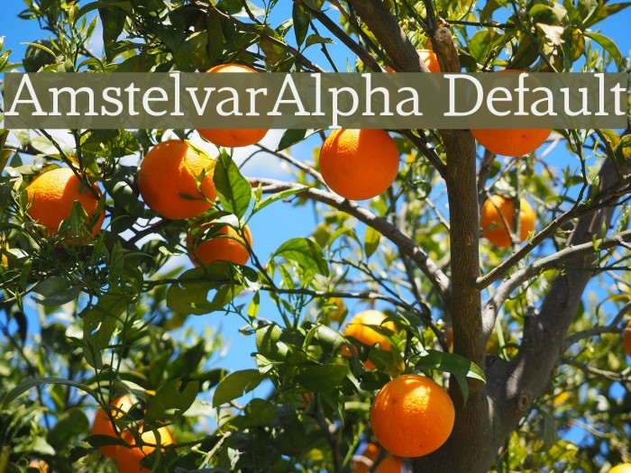 AmstelvarAlpha Default Font examples