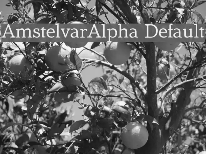 AmstelvarAlpha Default Шрифта examples