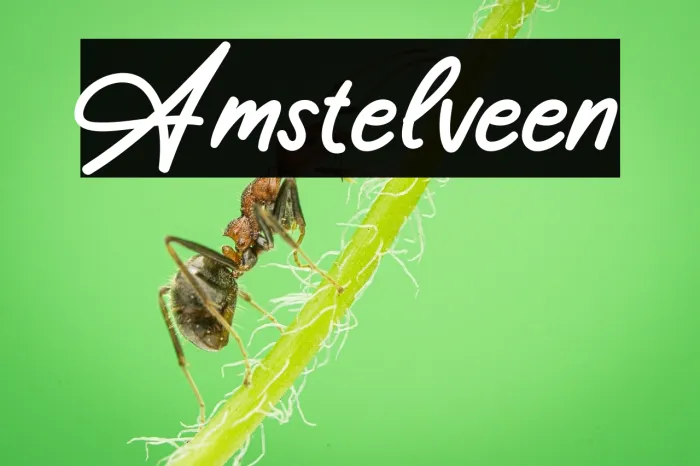 Amstelveen Example 1