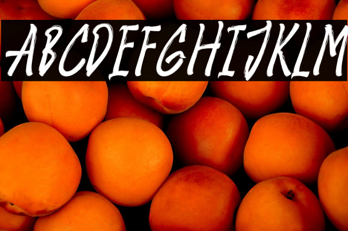 Amster Brush Italic Example 1