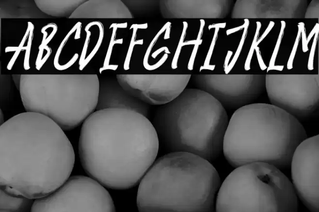 Amster Brush Italic Font examples