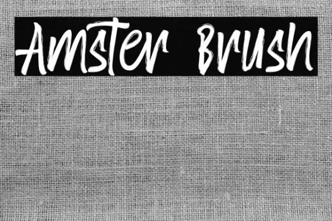 Amster Brush Font examples
