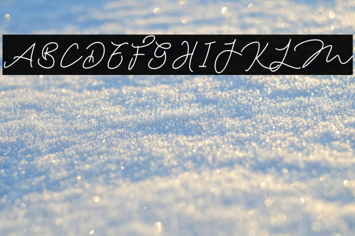 Amster Mondy Example 3